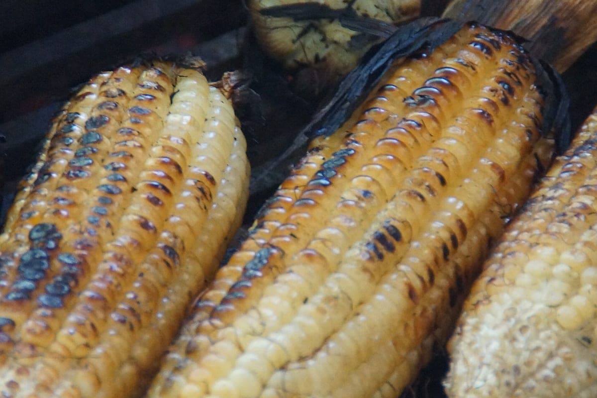 Elote asados