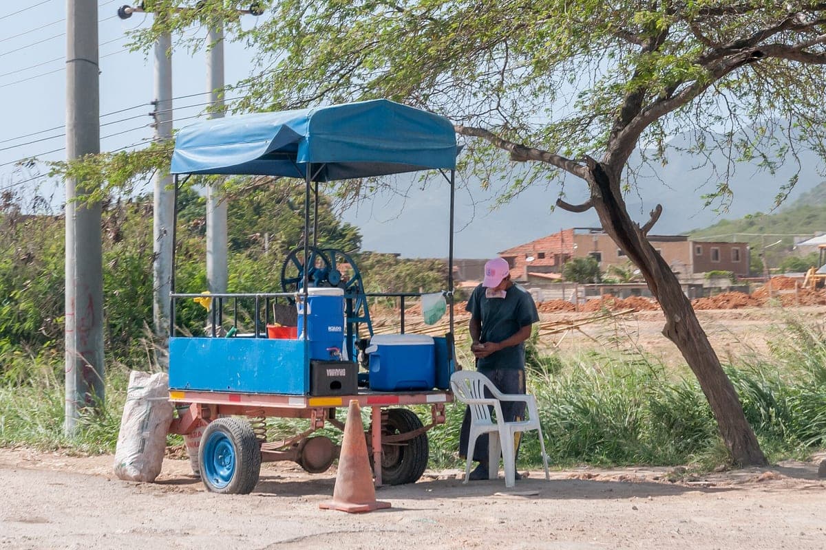 Papelón con limón